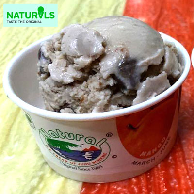 "CHOCOBITE Ice Cream (500gms) - Naturals - Click here to View more details about this Product